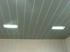 ceiling-&-panelling-in-silv